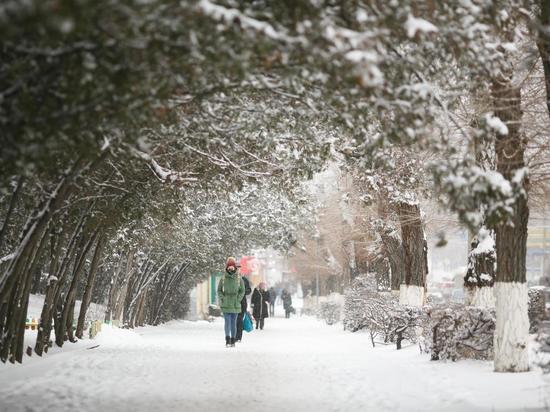 Сильный снегопад с метелью обрушится на Волгоградскую область