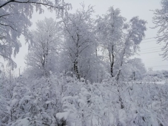 В Смоленской области сегодня до минус 14 мороза