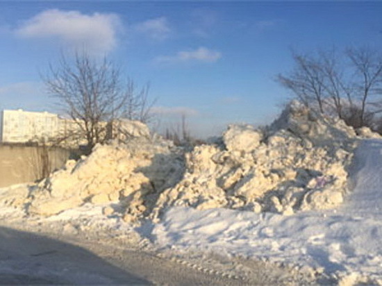 В Воронеже обнаружены незаконные снежные свалки