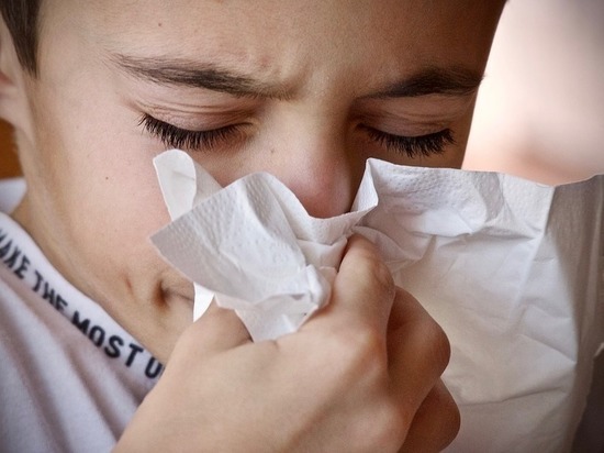Вирусы свиного и гонконгского гриппа активизировались на Алтае