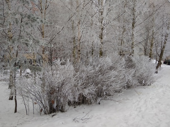 25 января в Смоленской области будет морозно, на дорогах гололедица