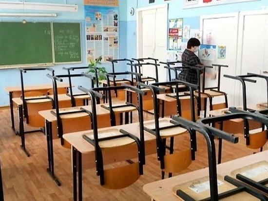В некоторых классах школ Тамбова объявлен карантин