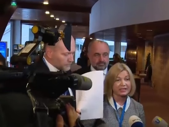 Украинский политик толкнул и оскорбил российскую журналистку в ПАСЕ Украинский политик толкнул и оскорбил российскую журналистку в ПАСЕ