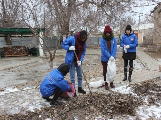 Студенты из Калмыцкого университета поработали в селе