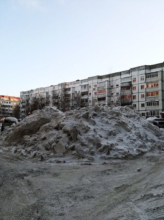 Коммунальщики в Сургуте убрали свалку после вмешательства мэра