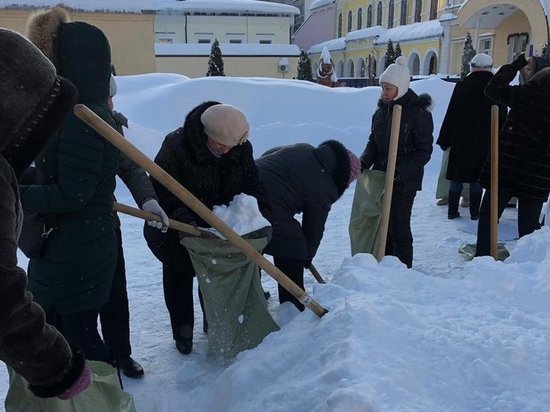 В Саратове учителей выгнали на мороз собирать снег в мешки