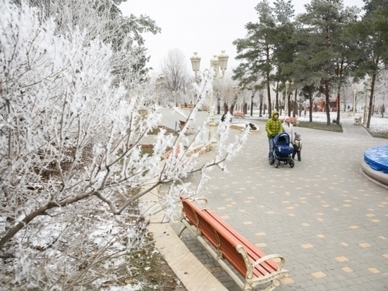 В какой коляске лучше везти детей на зимнюю прогулку в Волгограде