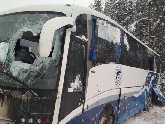 Пассажирский автобус перевернулся в Вологодской области: пострадала женщина