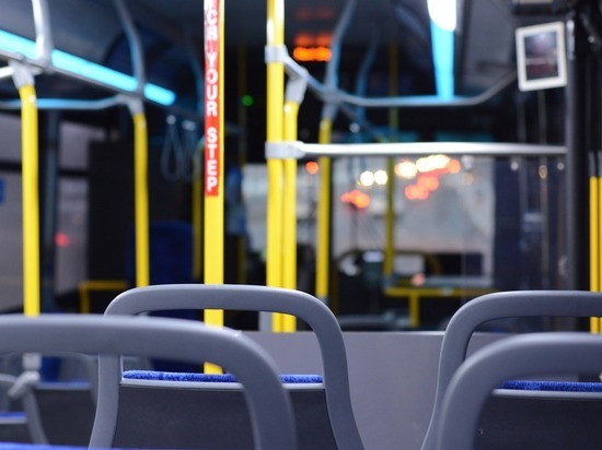«БигАвтоТранс» распродает свои междугородние автобусы