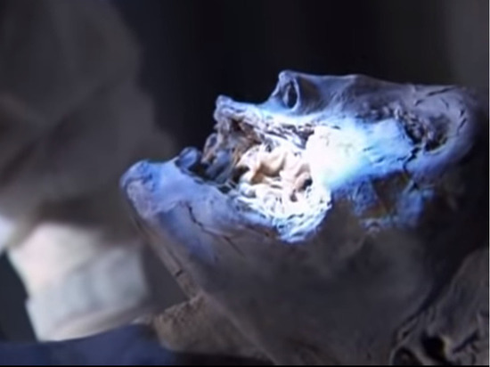 В Краснодаре сын убил отца и замуровал тело: нашли мумию