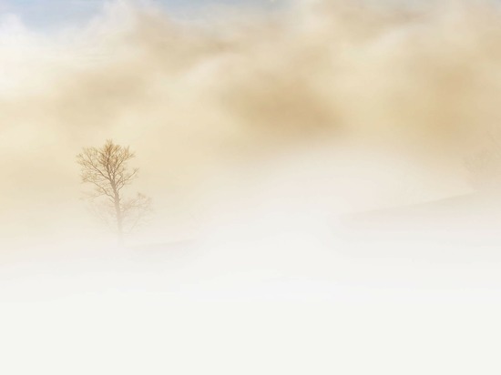 На Рязанскую область снова опускается туман