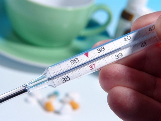  В Тамбовской области гриппом типа А за неделю заболели 18 человек