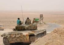 К Идлибу направлена элитная дивизия сирийской гвардии «Тигры»