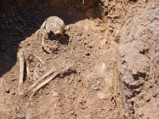 Найденному в Монголии черепу современного человека оказалось 35 тыс. лет