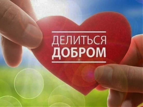 НКО Мурманской области предлагается субсидия на создание Ресурсного центра