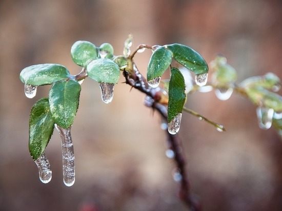 Ледяной дождь сохранится в Нижегородской области 1 февраля
