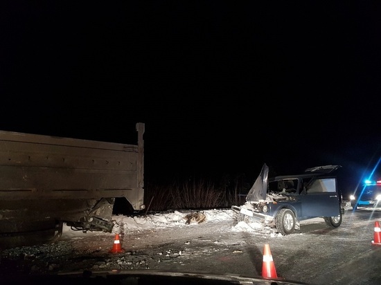 На Ямале «Нива» врезалась в стоящий грузовик: один человек погиб