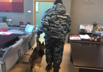 Сделать селфи дамам помог полицейский служебный пес
