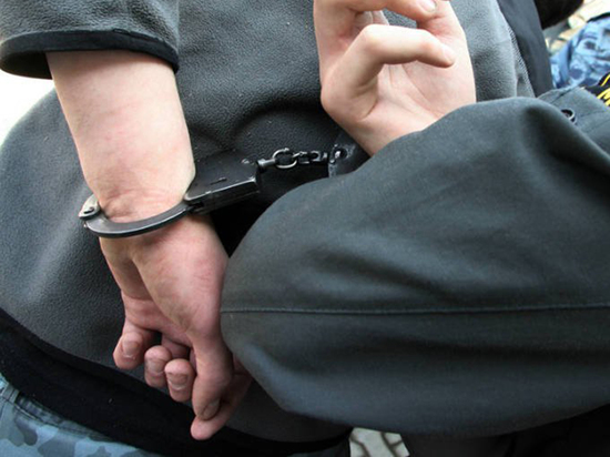 В Мордовии осудили мужчину, истыкавшего вилкой полицейского