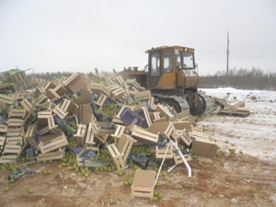 В Смоленске уничтожили 100 тонн подозрительных яблок и груш