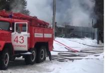 В Ступинском районе Московской области в поселке Лужники произошел пожар в частном Центре передержки животных