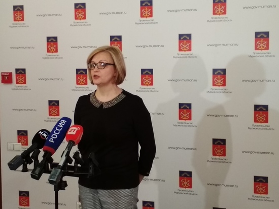 Общественную палату Мурманской области возглавила активистка из Мончегорска
