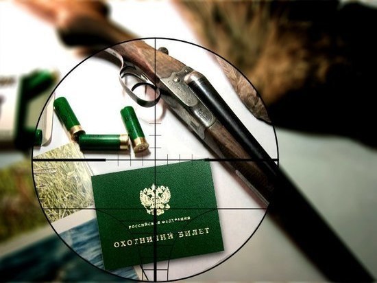 В Ярославской области идет борьба с нарушениями в сфере охоты.