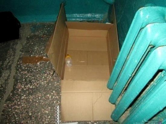 Подкидыша из коробки усыновила в Камышине бездетная семья