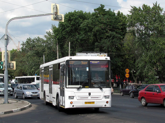 На Белгородчине наказали рублем более 1,6 тысячи водителей автобусов