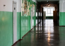 По сообщению пресс-службы администрации города, с 7 февраля будет временно приостановлен учебно-воспитательный процесс во всех общеобразовательных учреждениях Воронежа