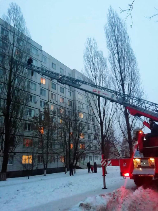 В Белгородской области пожарные спасли кота