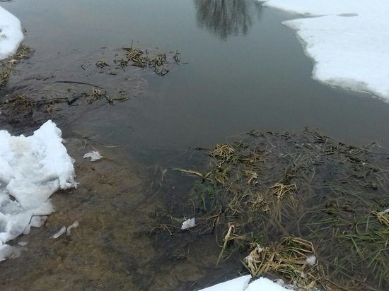 Чиновники опровергли информацию о мертвой рыбе в Тверской области