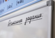 Бывшего ученика новосибирской гимназии обвиняют во взломе электронного журнал