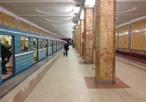 Возможность закрытия части Сокольнической линии метро больше чем на неделю рассматривают московские транспортники