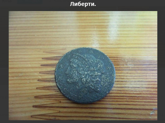 Найденную в Тверской области бракованную американскую монету продают за миллион