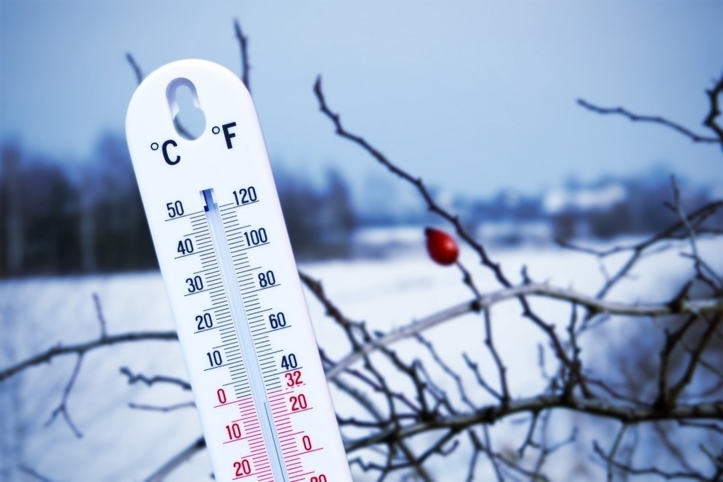 Первая неделя февраля. Термометр зима. Термометр в снегу. Уличный термометр зимой. Термометр холод.