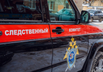 Стражи порядка уличили в коррупции представителя структурного подразделения ОАО "РЖД" Кемерова в попытке подкупа