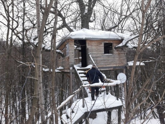 В Чебоксрах приставы снесли незаконный «домик на дереве»