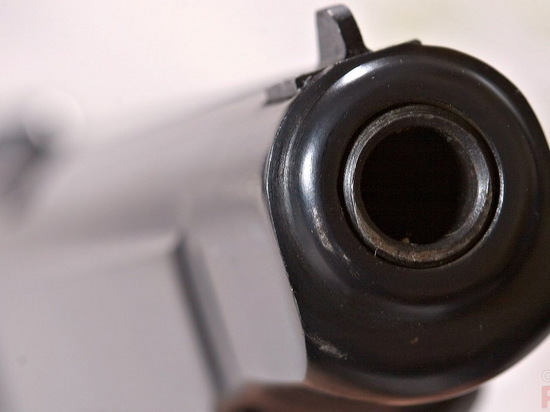 Житель Воронежской области собрал для самозащиты пистолет