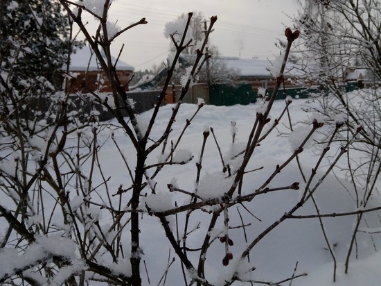 В субботу в Смоленской области возможен снег