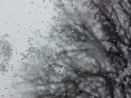 На Ярославскую область идут дожди и снегопады