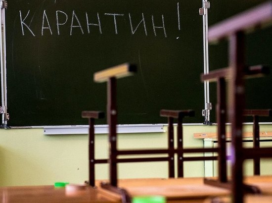 Уроков не будет: во всех школах Иваново введен карантин Уроков не будет: во всех школах Иваново введен карантин
