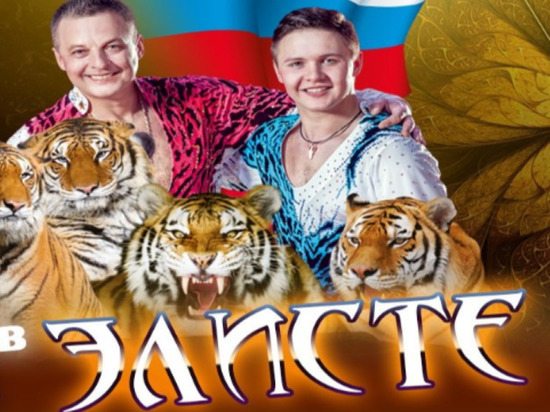 Гимнаст цирка Запашного погиб в Калмыкии из-за недокрученной гайки