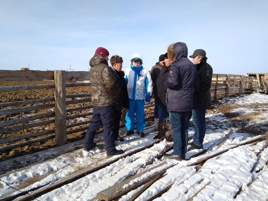 В Бурятию зашел крупный агрохолдинг из Казахстана