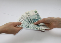 В Башкирии на конец декабря 2018 года задолженность работодателей перед сотрудниками превысила 500 миллионов рублей, но при этом за несколько недель до Нового года она и вовсе составляла 635,5 млн