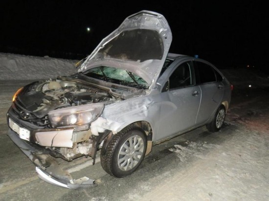 В Чувашии молодой водитель насмерть сбил мать и дочь