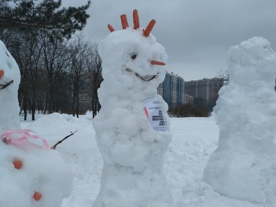 В Петербурге снеговики-панки вышли на митинг против застройки парка