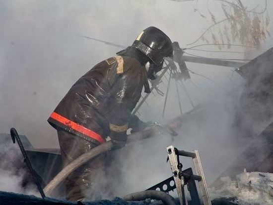 В Калининградской области горели сажа и бытовка