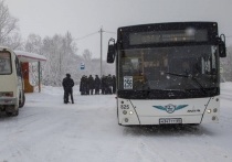 Жители села Новотроицкого обратились к региональным властям с просьбой решить проблему транспортного сообщения между их населенным пунктом и Южно-Сахалинском и получили новый автобусный маршрут