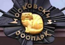 Исторический символ Московского зоопарка – барельеф с манулом - вернут на законное место после реставрации